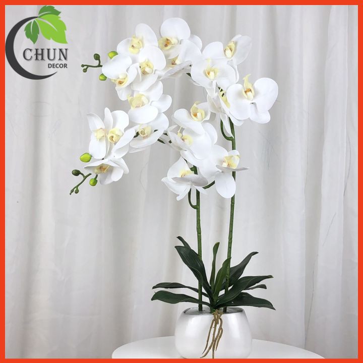 Chậu hoa giả lan hồ điệp để bàn 2 nhánh cao 60cm trang trí nhà cửa, bàn làm việc, kệ tủ siêu đẹp CL2