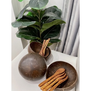 COMBO Chén muỗng Gáo Dừa 12-15cm