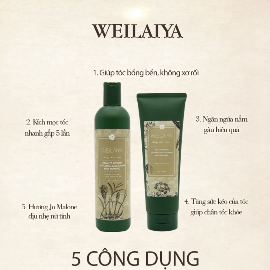 Dầu Gội Xả Gừng Weilaiya WYL89 Giảm Rụng, Kích Mọc Tóc, Gội Xả Size (400+250)ml