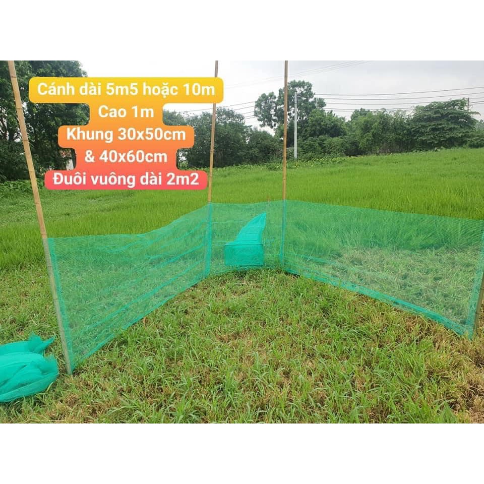 Đăng chặn sông, cống - bắt tôm tép tất cả các loại cá - Dớn bắt cá, cua, lươn 30/50