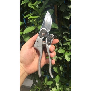 Kéo cắt cành Kapusi SK5