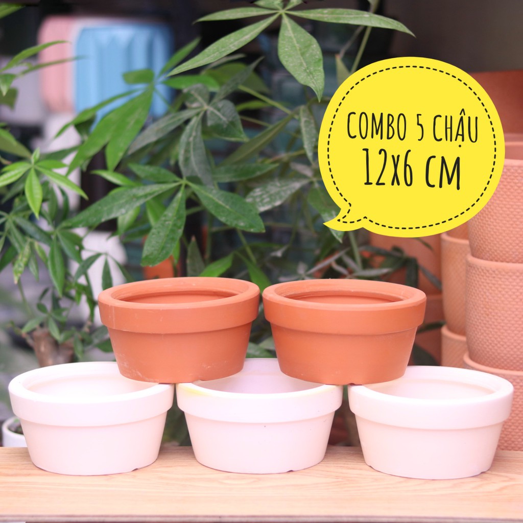 COMBO 5 chậu đất nung 12x6 cm trồng cây cảnh mini, sen đá, xương rồng, tiểu cảnh terrarium