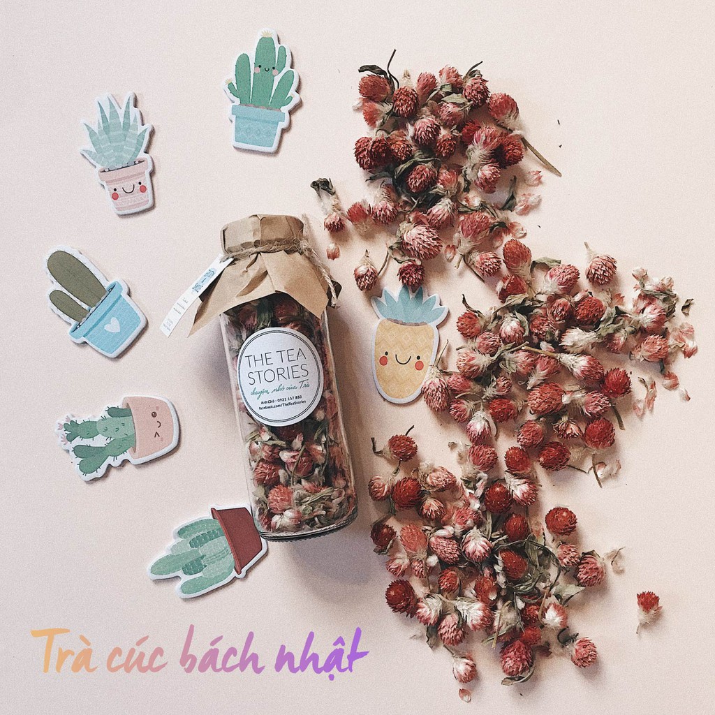 Trà Hoa Cúc Bách Nhật thơm mát, thư giãn - The Tea Stories