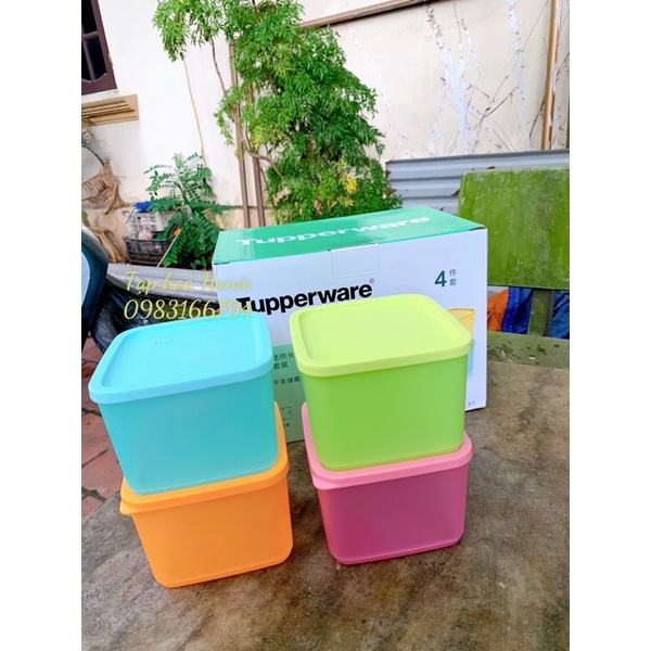 SET 4 HỘP TUPPERWARE MEDIUM SQUARE ROUND 1L SẴN