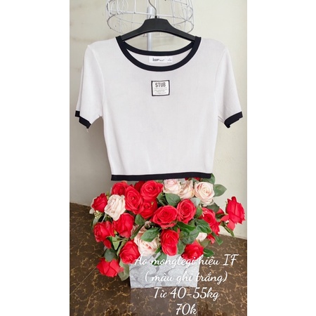 Áo mongtegi dáng croptop