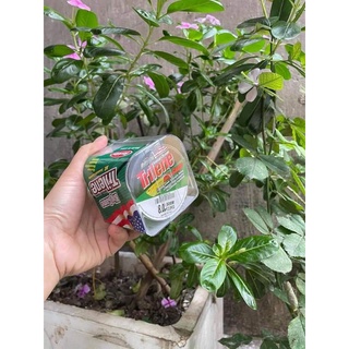 Cước trilene 500m màu khói