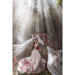 ( Voan Dài chụp ngoại cảnh )Phụ kiện khăn von lúp cô dâu