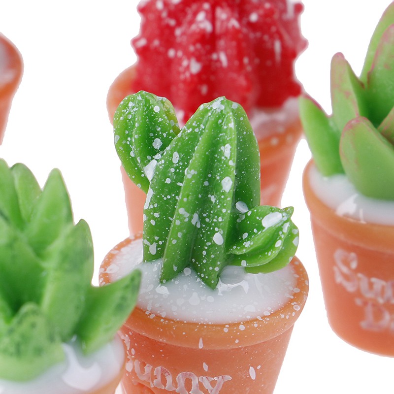 Bộ 5 Chậu Cây Xương Rồng Mini Trang Trí Độc Đáo