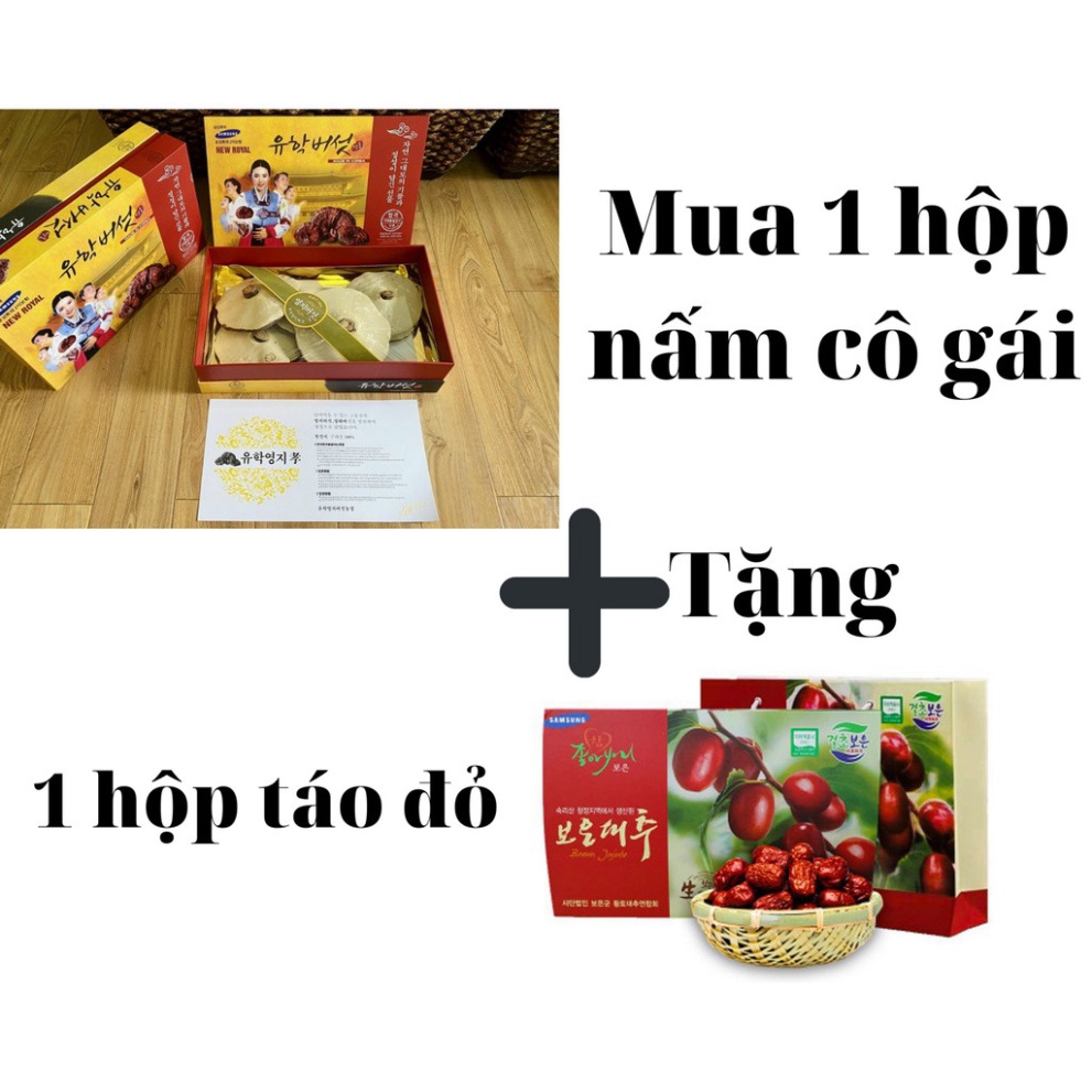 NẤM LINH CHI HỘP CÔ GÁI HÀN QUỐC ( TẶNG 1 HỘP TÁO ĐỎ) [ Hàng Mới Về ]