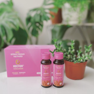 Nước đông trùng hạ thảo hector collagen - hộp 10 chai