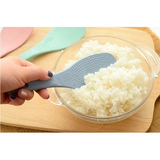 COMBO 2 MUÔI XỚI CƠM SIÊU ĐẸP