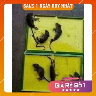 [Gía Hủy Diệt] Keo bẫy chuột siêu dính Tomcat tái sử dụng