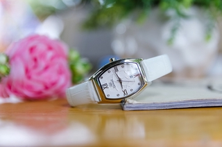 Đồng hồ nữ Gemax 52030P2W
