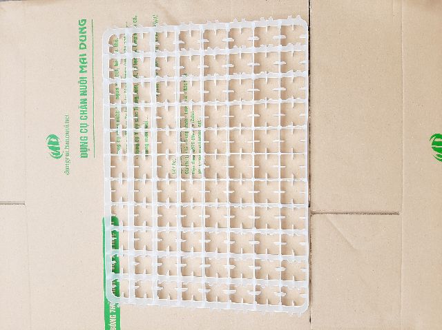 Combo 10 cái - khay ấp trứng gà 88 quả