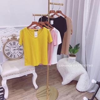 Áo phông giấy sz SML