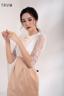 Hoa nơ cài áo
