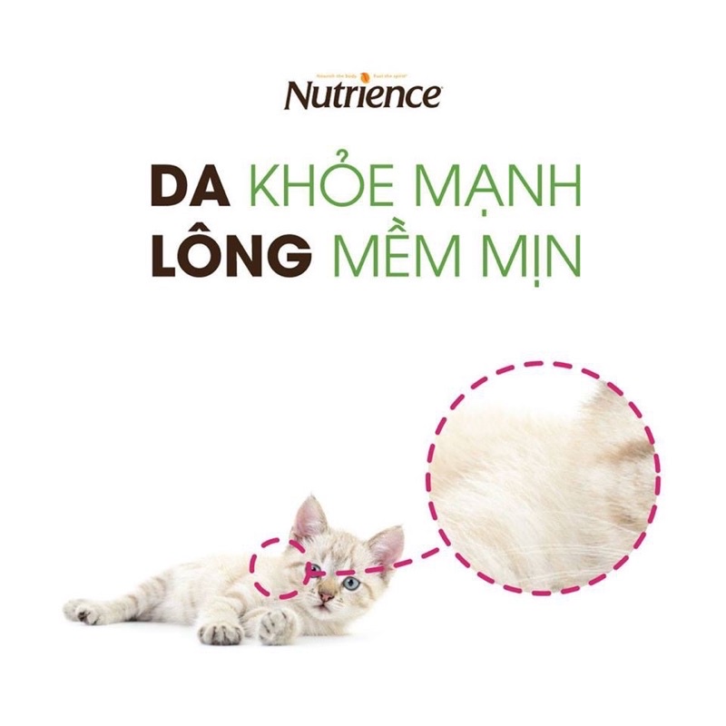 Hạt Nutrience SubZero Cho Mèo Mọi Độ Tuổi - Gà Tây, Cá Hồi &amp; Rau Củ Quả