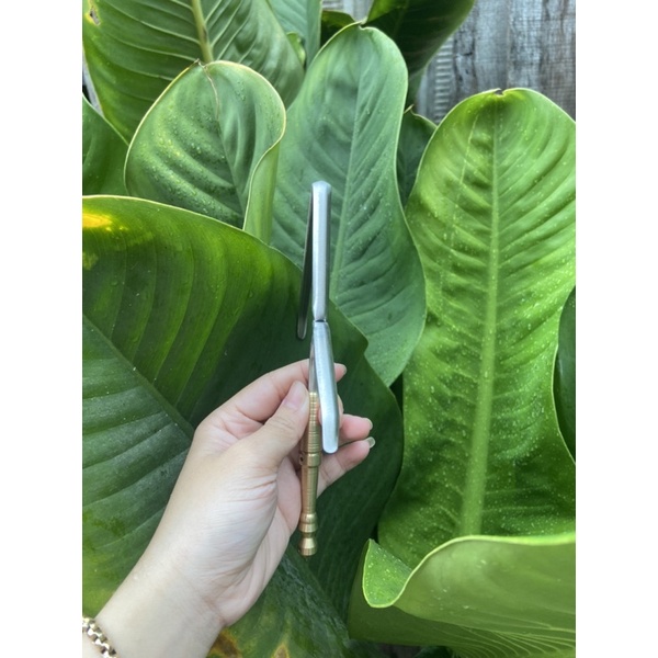 Móc trụ ty đồng chẻ cu gáy PILE khoan lỗ theo yêu cầu