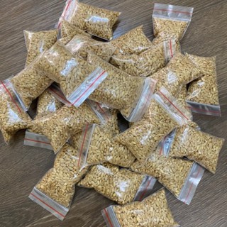 Hạt Giống Cỏ Mèo Wheatgrass - Cỏ Lúa Mì Đỏ (Gói 100g)