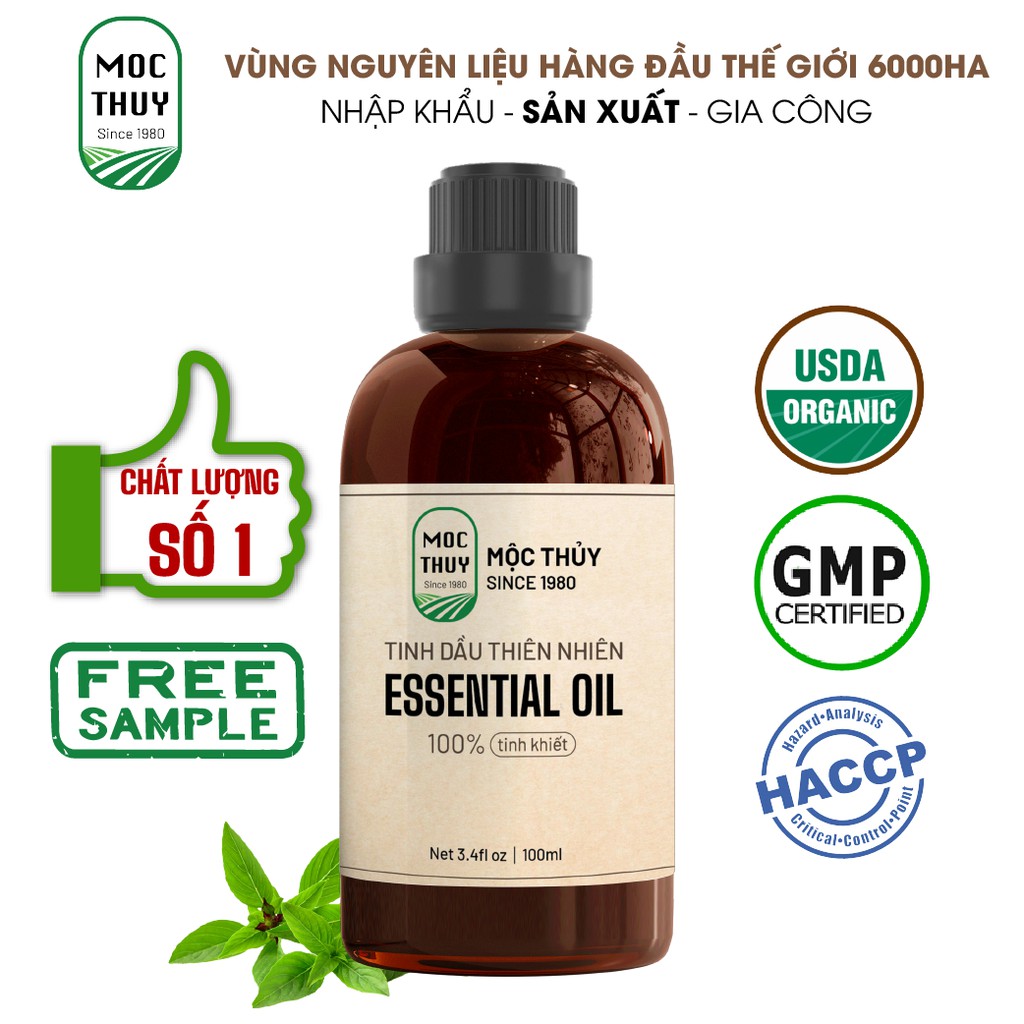 Tinh dầu Húng Quế Mộc Thủy 100ml