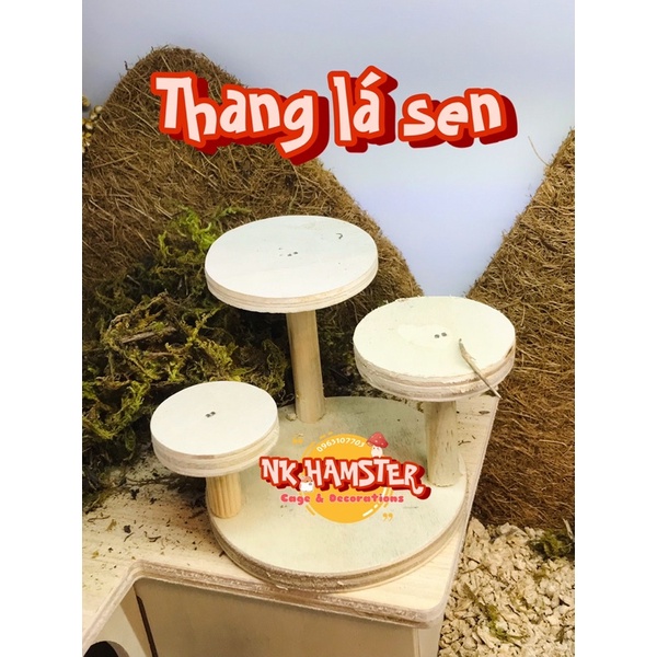 Thang bậc lá sen