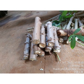 2 kg hom giống khoai mì ruột trắng dẻo thơm thái lan .
