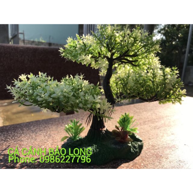 Cây bonsai nhựa trang trí bể cá ( Cá cảnh Bảo Long)