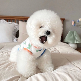 Áo Thun Mùa Hè Cho Thú Cưng