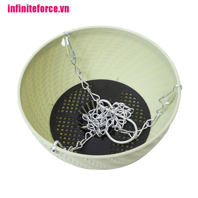 Vn Hoa Trang Trí Ban Công