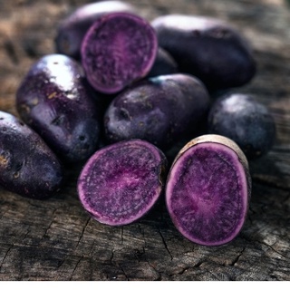 CỦ GIỐNG KHOAI TÂY TÍM