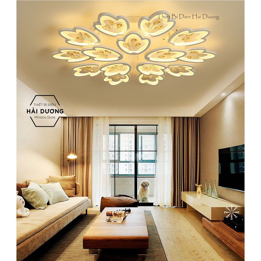 Đèn LED Ốp Trần Hình Hoa 15 Cánh NT024 - 3 Chế Độ Ánh Sáng - Tăng Giảm Ánh Sáng - Điều Khiển Từ Xa - Bảo Hành 1 Năm