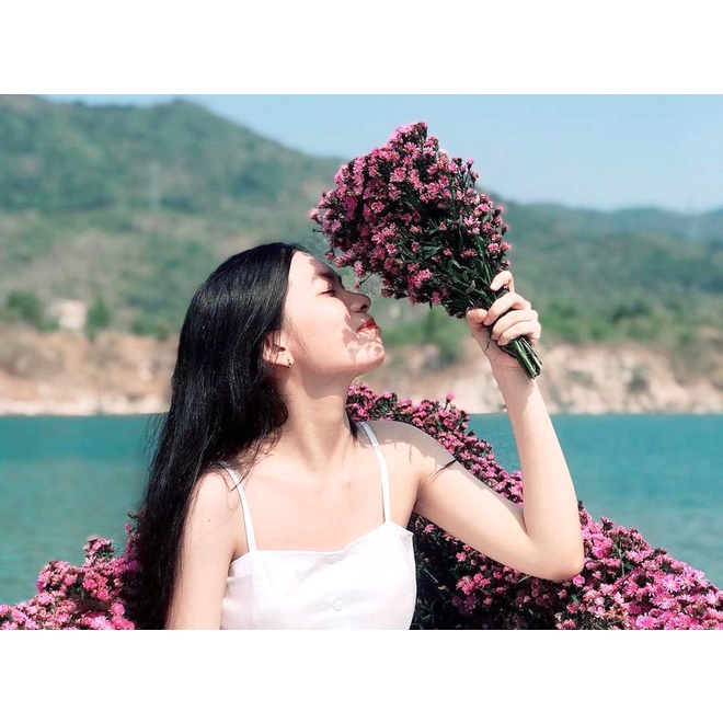 Toàn quốc  RESORT LAN RỪNG - ĐỒI CỪU SUỐI NGHỆ - TOUR VŨNG TÀU 1 NGÀY