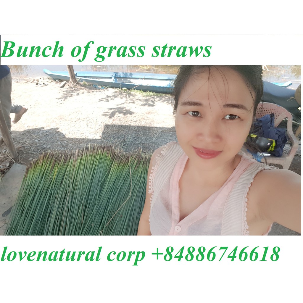 Ông hút cỏ bàng/tre khắc Laze (quà tặng) xuất khẩu Châu Âu (combo 500 ống) Love natural để được 12 tháng Bamboo straw