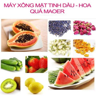 [GIÁ SỈ] [HÀNG SỈ] Máy Xông mặt Hoa quả Maoer chất lượng