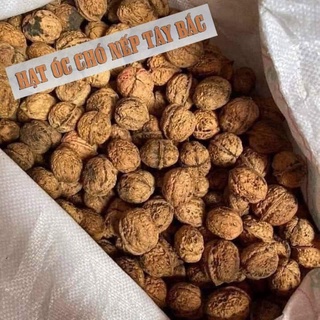 Óc chó nếp vàng [Nông Sản Tây Bắc]