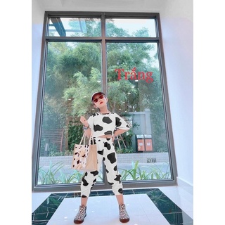 Sét sữa bò bé gái