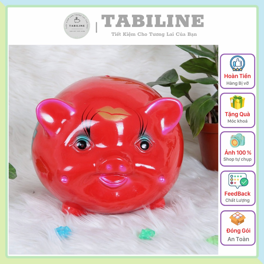 Lợn đất heo đất ống heo tiết kiệm tiền TABILINE Size nhỡ cute đáng yêu LD02
