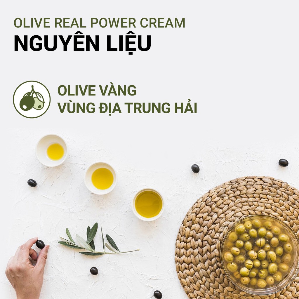 [Mã COSIF05 giảm 10% đơn 400K] Kem dưỡng ẩm innisfree Olive Real Power Cream 50ml