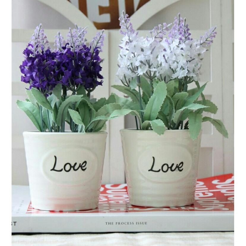 Combo 2 chậu sứ LOVE nhiều hoa