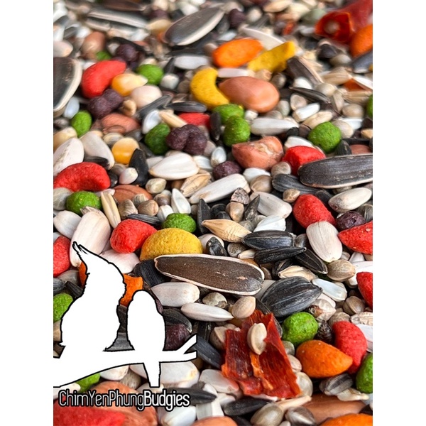 1kg hỗn hợp hoàn chỉnh cho Vẹt: Xích, Ngực Hồng, Xám... [100% hạt tự nhiên]