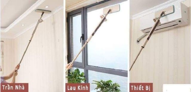 cây LAU NHÀ TỰ VẮT,,