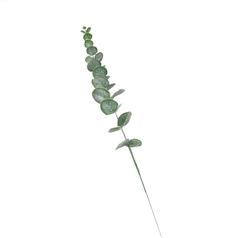 Nhánh Lá Bạch Đàn Bằng Nhựa Phong Cách Bắc Âu Dùng Trang Trí Nhà Cửa/ Tiệc Cưới