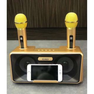 Loa nghe nhạc hát karaoke blutooth SD 301.
