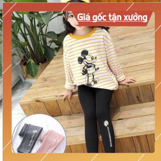 [HOT] Quần Leging Bé Gái  Quần Leging Hoa Cúc Cho Bé - Quần Thu Đông Bé Gái 8kg->22kg  [Nhím Shop]