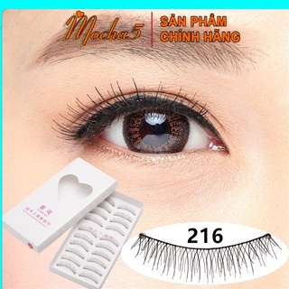 Mi giả TAIWAN 10 đôi loại thưa mỏng tự nhiên, không cộm mắt 216 217