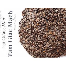Hạt hoa tam giác mạch nhiều màu -chuẩn giống Hà giang ,túi 500 hạt