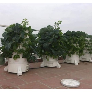 Tháp trồng rau hữu cơ  Eco Việt Nam tại TP HCM
