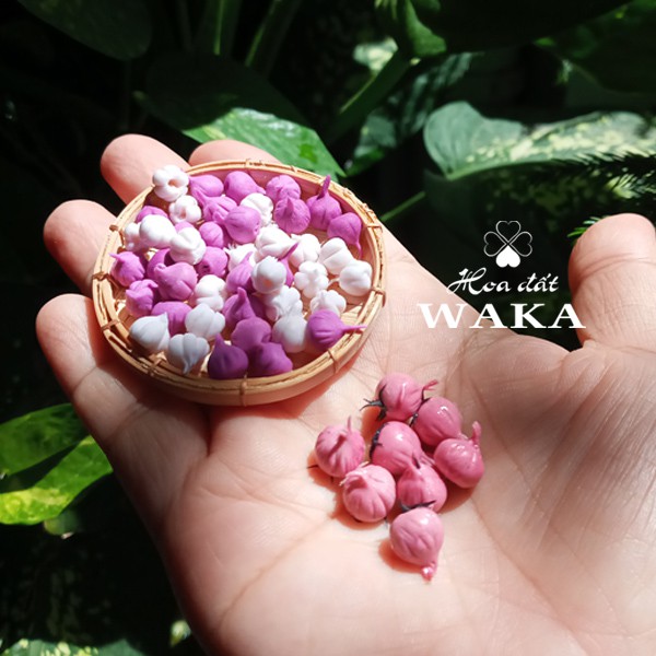 Mô hình Củ Hành Tỏi Mini - Rau Củ Quả Mini 1/12