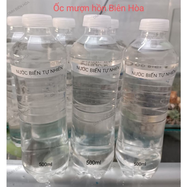 Nước biển tự nhiên không pha 500ml.OMH Biên Hòa