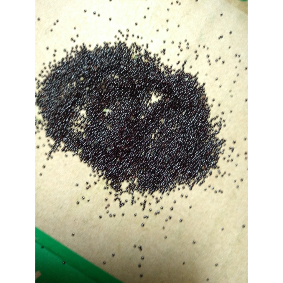 Hạt Giống Sâm Đất  CT60 - Gói 20 hạt